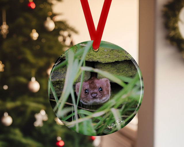 "Pop Goes the Weasel" Ceramic Christmas Decoration 