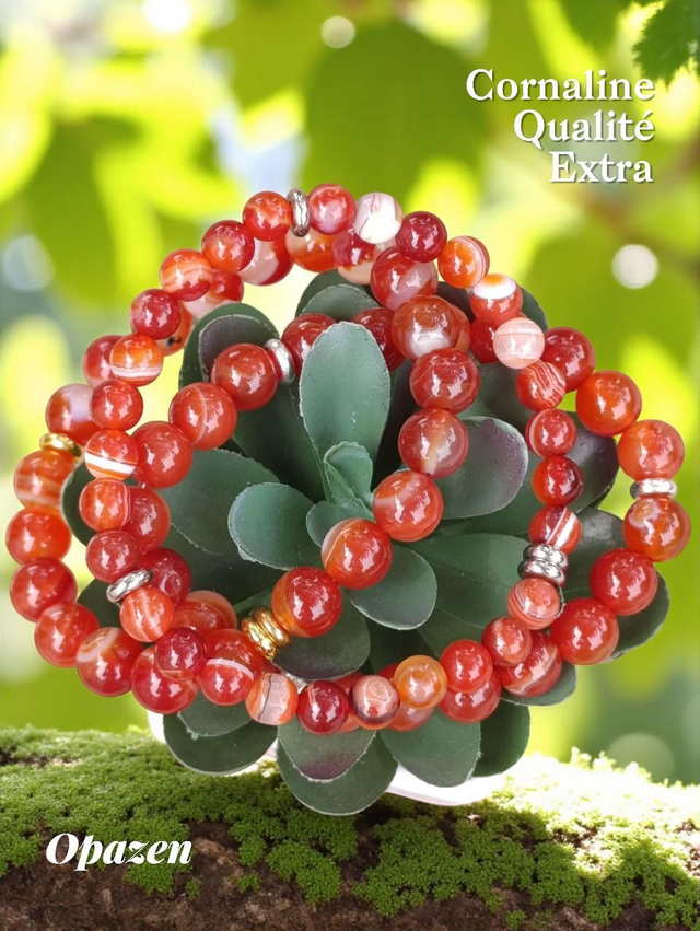 Bracelets Cornaline extra