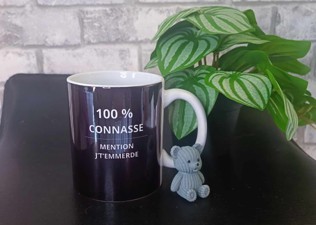 MUG 100% connasse 