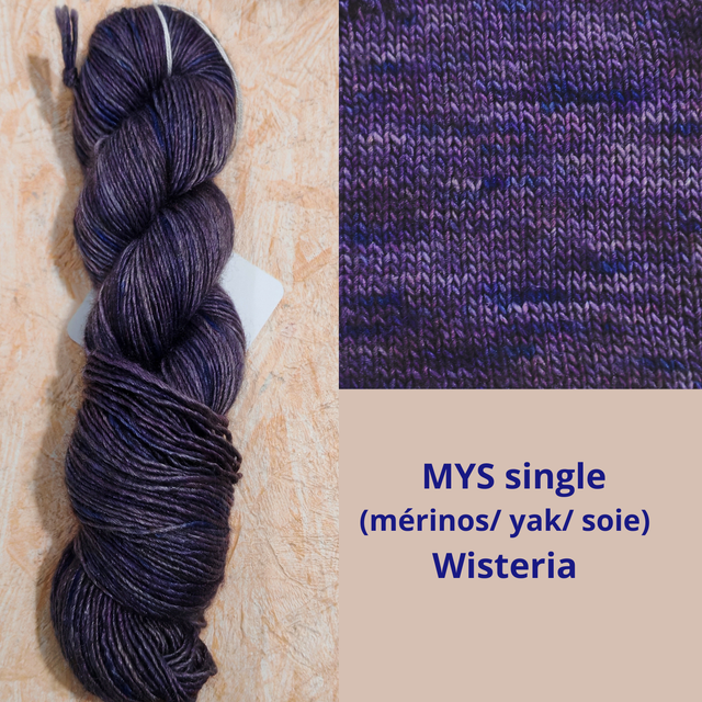 MYS single Wisteria