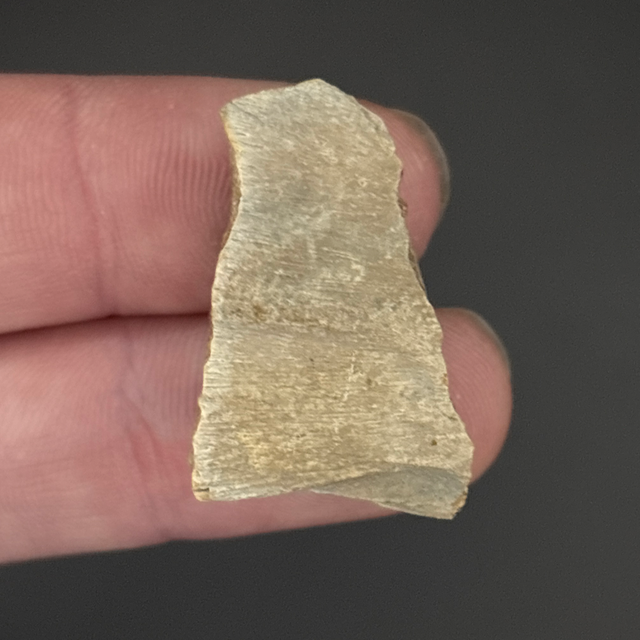 Ichthyosaur Bone Fragment 