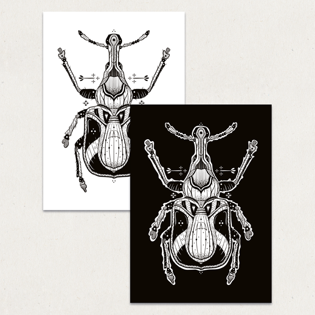 _10x15 / A light in the storm