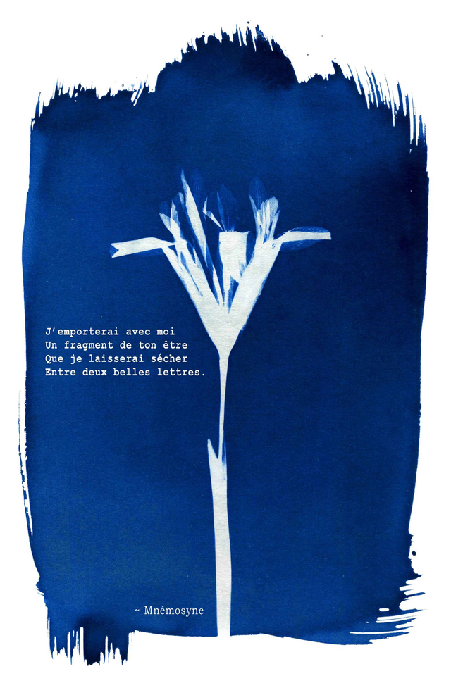 Cartes postales poétiques