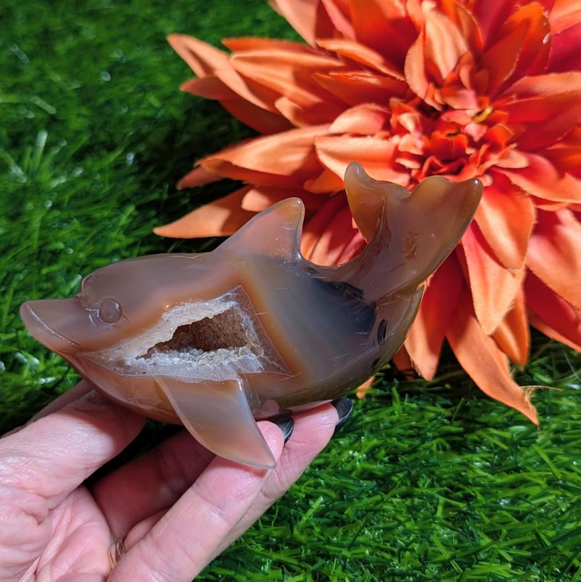 Druzy Agate Dolphin 
