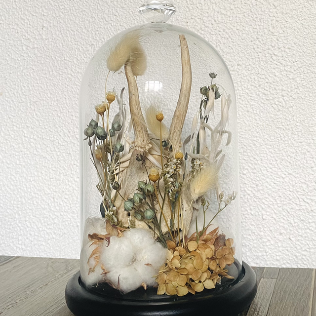 Skull fleurie sous verre 