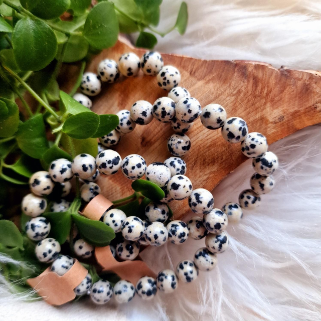Dalmatian Jasper 8mm Beaded Bracelet 