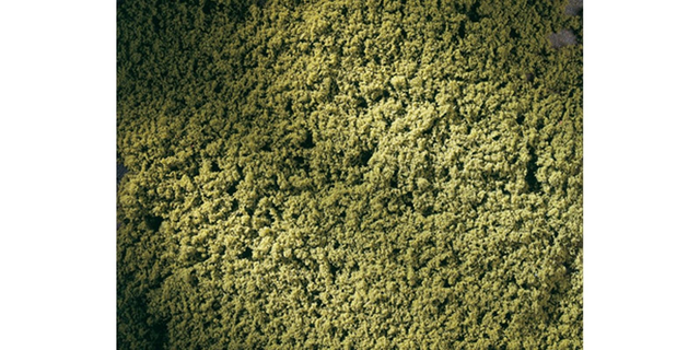 flocage auhagen 76667