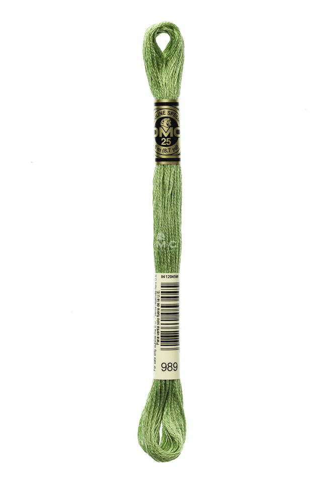 N°989 Mouliné Spécial DMC