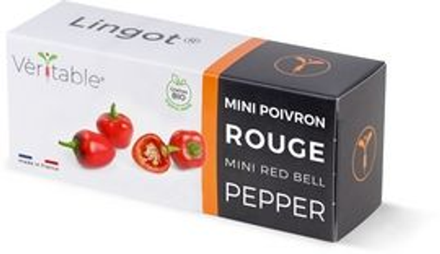 Véritable Lingot Mini Red Pepper - Organic