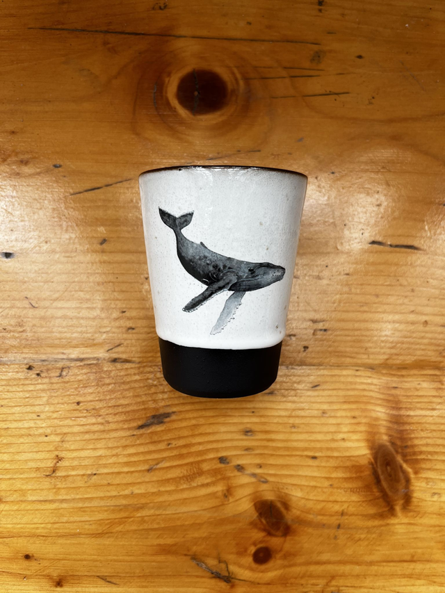 Kaffeebecher Buckelwal (MSM)