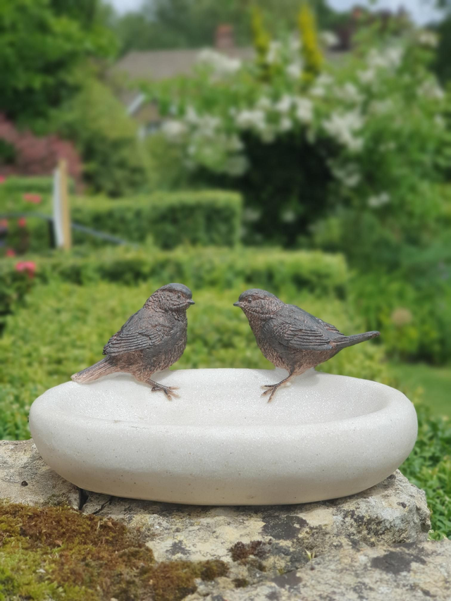 Bird Bath