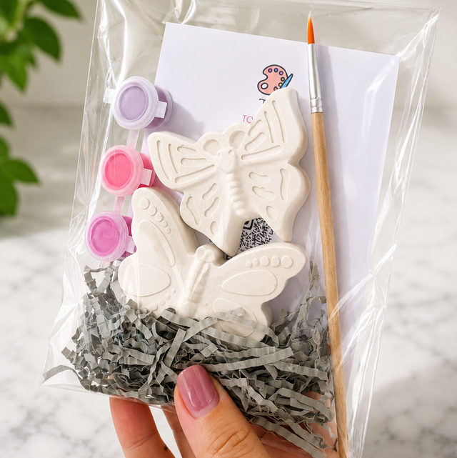 Butterfly Painting Kit