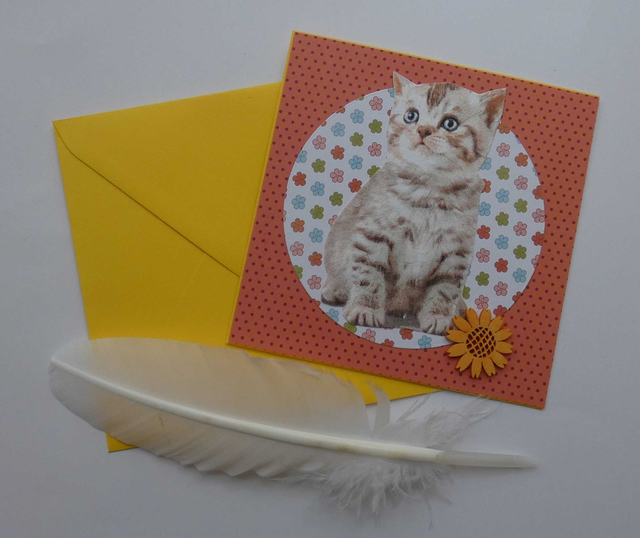 Le chat rêveur