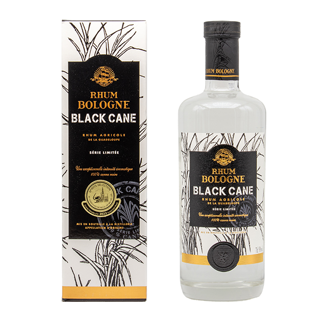 Bologne black cane 2022