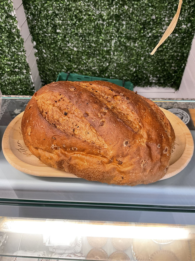 The Rise - Brown Bloomer