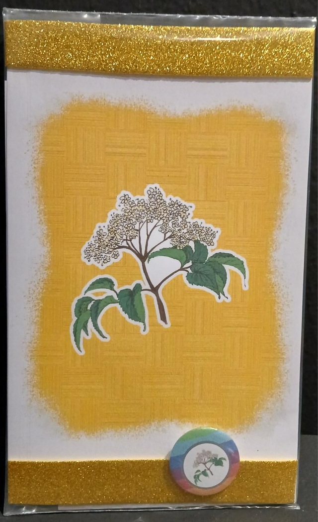 Leggi &amp; Decora - Kit Decorazione - I Fiori di Catia n. 2 - Sambuco