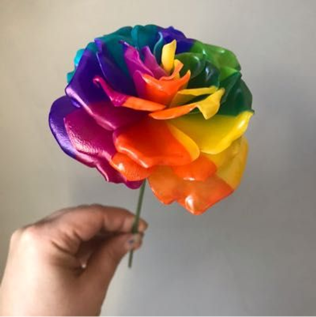 Rainbow Rose