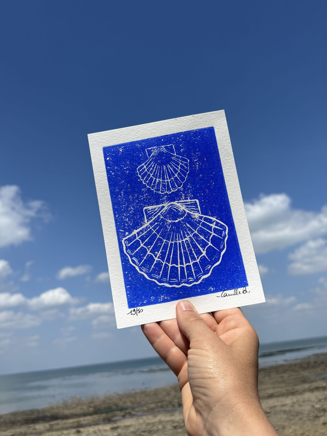 Les coquilles Saint-Jacques