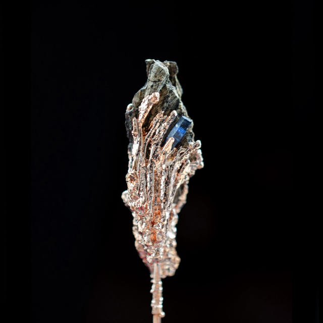 Broche Apothécie - 1/6