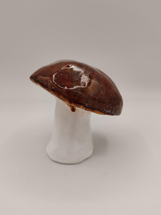 Champignons décoratifs taille moyenne