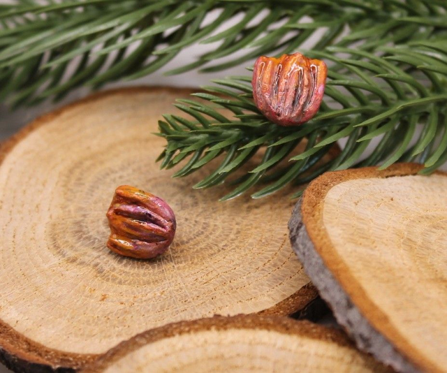 Valetut - Puna-oranssit Tulppaani -  Nappikorvakorut