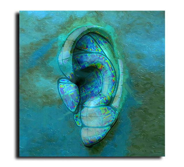 03 Body - Sonar, 2022.