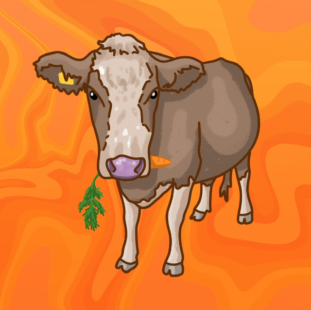 Cow