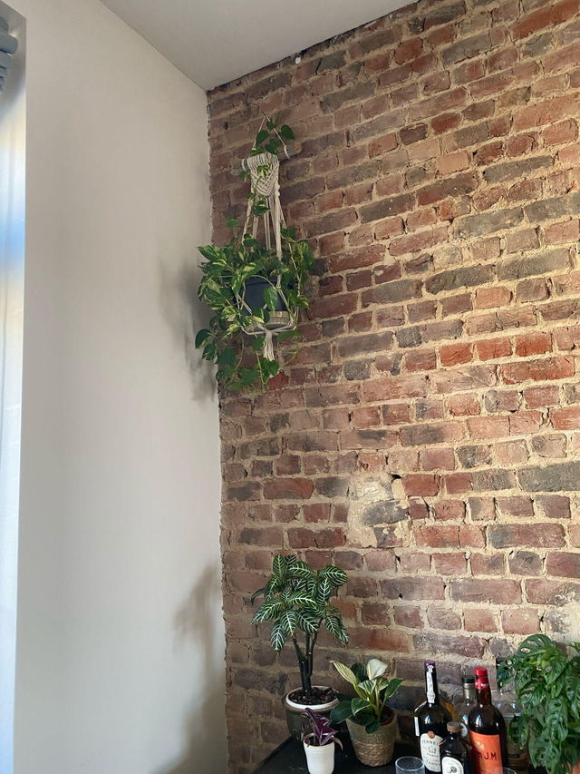 Suspension pour plante en macramé sur bois flotté