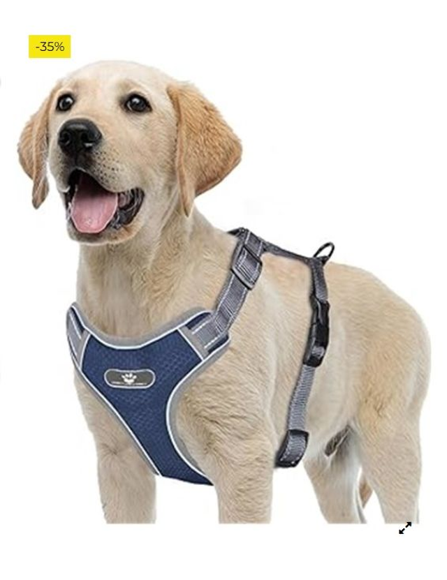 Acxilexy Arnés Cómodo Transpirable para Perros grandes, Anti Tirones Ajustable con Asa y Anillos, Reflectante