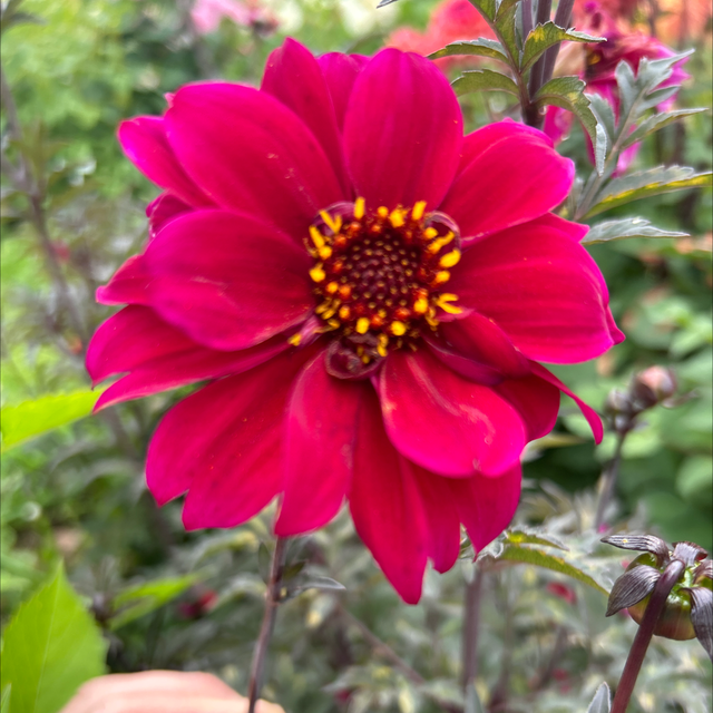 Bishop of Canterbury 170