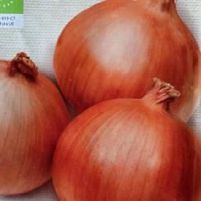 S. cebolla amarilla de Parma