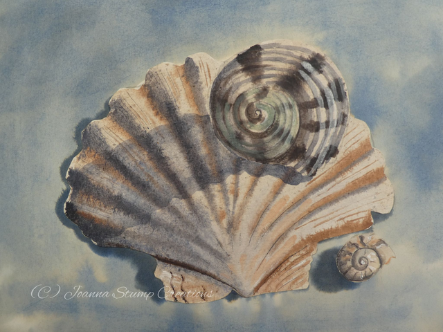 Open Edition Fine Art Print. "Shell Study 2" 