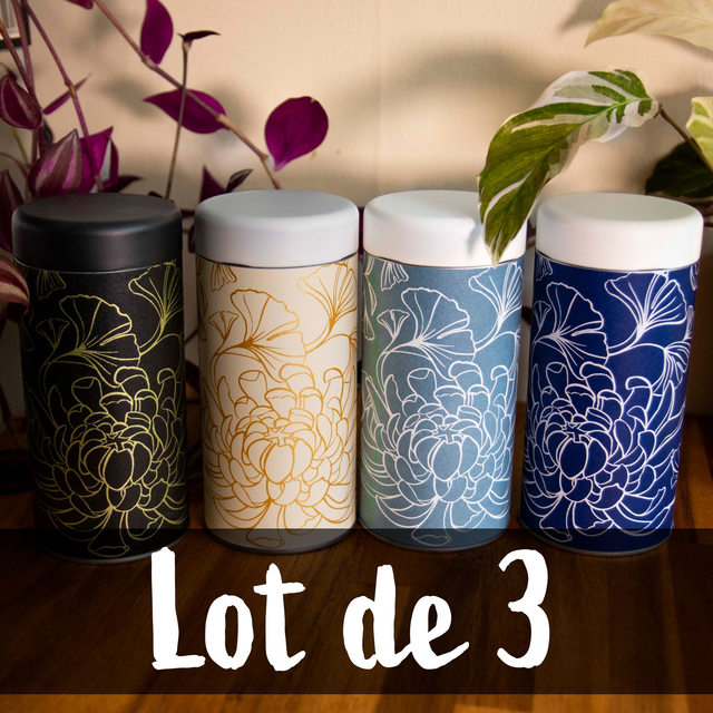 Lot de 3 boîtes - Motif automnal