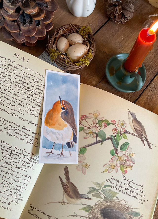 Première neige du rouge-gorge - marque-page