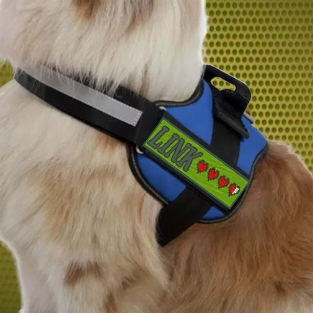 Barre de vie Zelda bandeaux harnais animaux