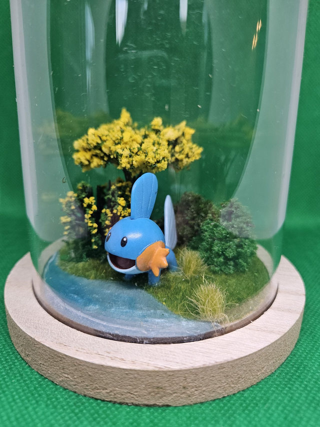 Mudkip | Terrarium