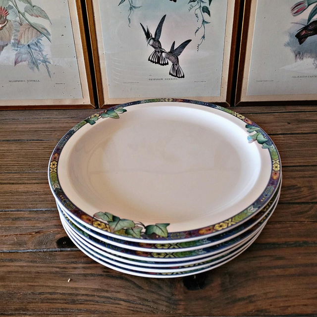 X Assiettes plates Villeroy &amp; Boch modèle Passadena 