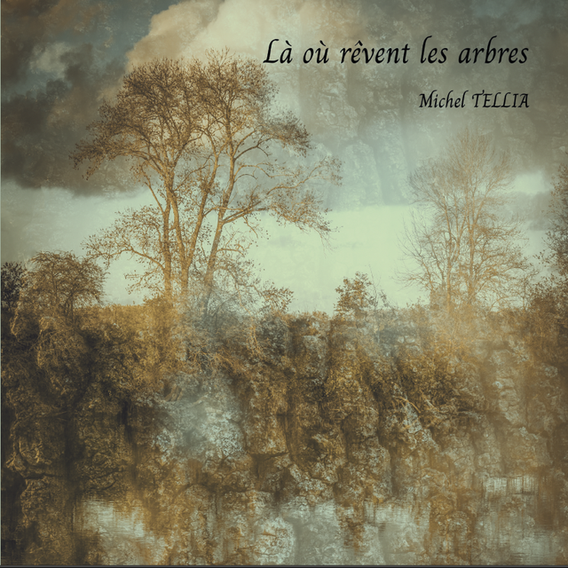 Livre  "Là où rêvent les arbres"