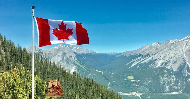 DOUCEUR DU CANADA