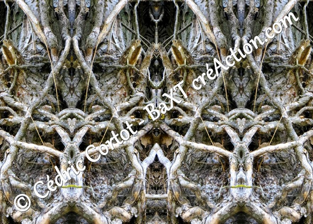 Carte postale - Entre réel et irréel (Ref IMG_0559-1)