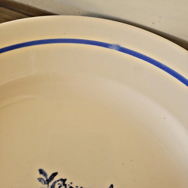 X Assiettes plates vintage faïence ADP, motifs de roses couleur bleu