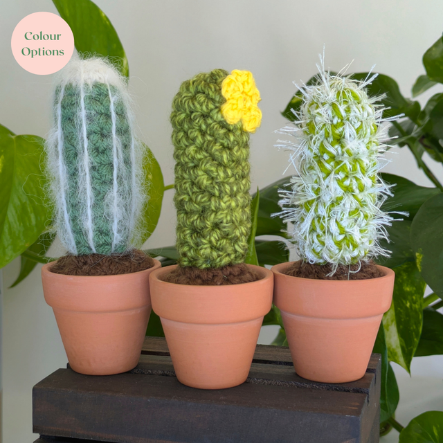 Set of Three Crochet Cacti
