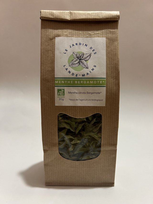 Menthe bergamote