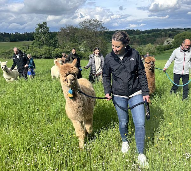 Heckengäuwanderungen (offene Gruppe)