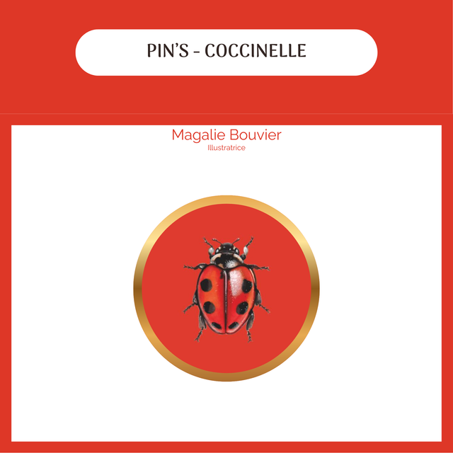 Pin - coccinelle