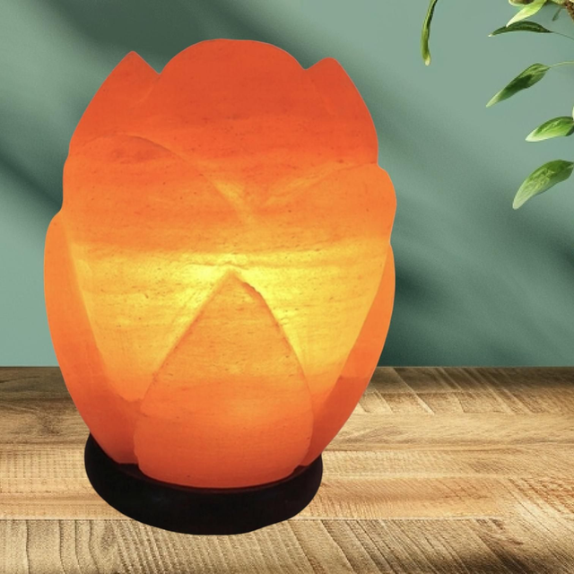 Lampe de sel &quot;Tulipe&quot;
