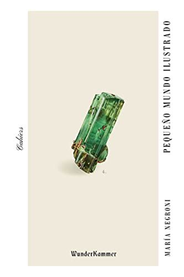 Pequeño mundo ilustrado: (Edición ampliada) - María Negroni