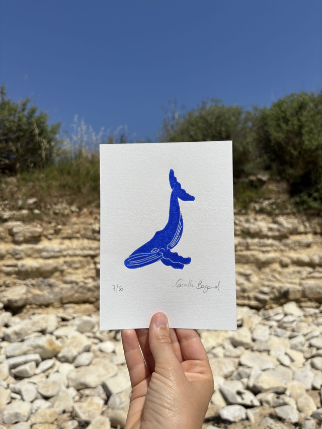 La baleine 1 "mini"