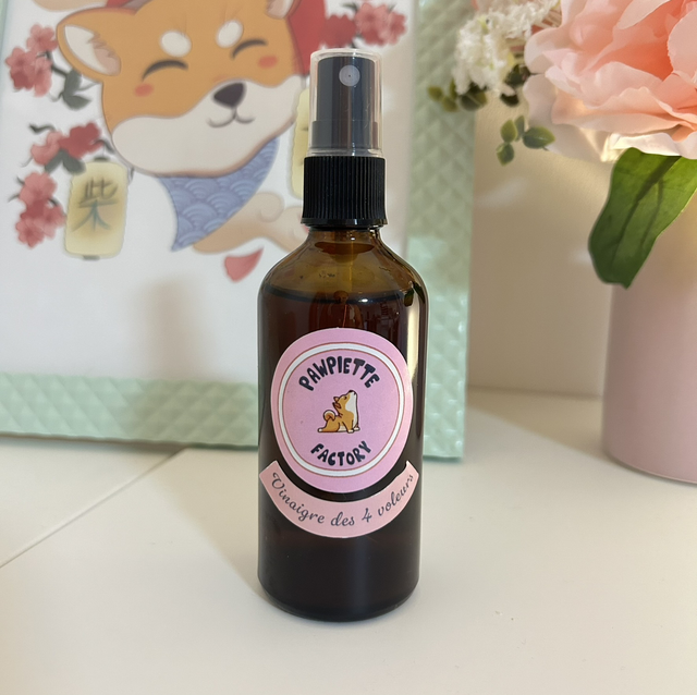 Vinaigre des 4 voleurs