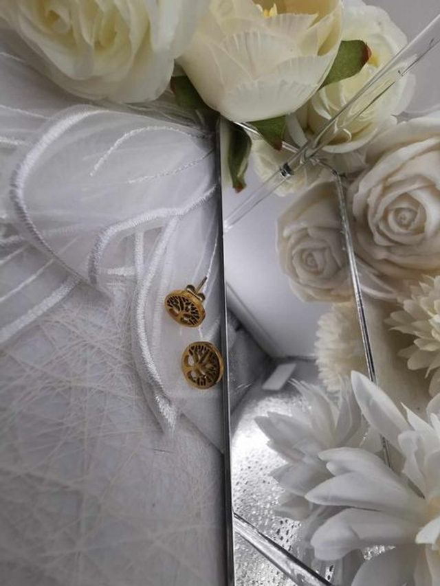 Clous d'Oreilles en A-I Doré et Zircon